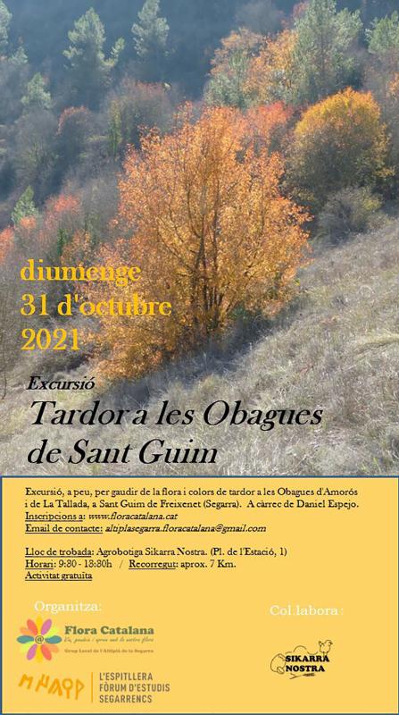 cartell Excursió 'Tardor a les obagues de Sant Guim de Freixenet'