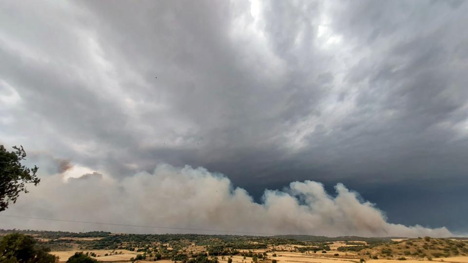 Vista de l'incendi de Torrefeta i Florejacs - 